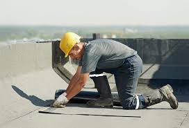 Best Roof Coating and Sealing  in Roebuck, SC